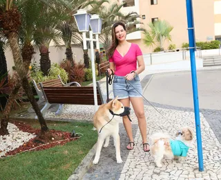 Cresce a presença de pets em apartamentos alugados