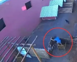 VÍDEO: criança de 9 anos invade hospital veterinário e mata 23 animais