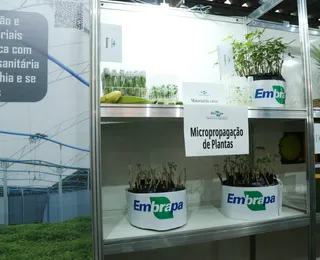 Embrapa apresenta inovações no setor agrícola durante a Fenagro