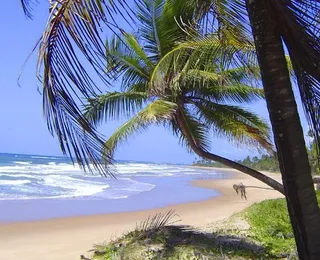 Empresário mineiro morre afogado em praia no sul da Bahia