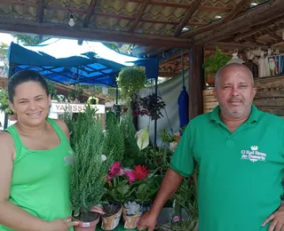 Expositores de plantas e flores são destaques na Fenagro