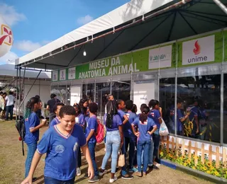 Fenagro oferece entretenimento para as crianças