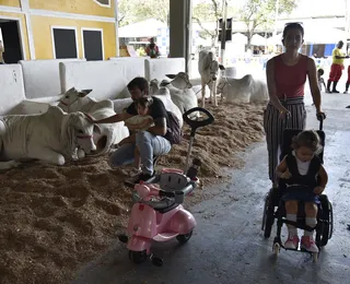 Fenagro tem entrada solidária para visitação à feira segunda e terça