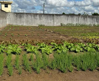 Fenagro terá materiais e alimentos produzidos em unidades prisionais da Seap