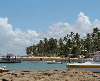 Praia do Forte recebe Festival de Gastronomia itinerante