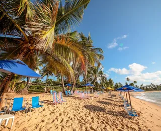 Festival de cultura e gastronomia chega a Praia do Forte em dezembro