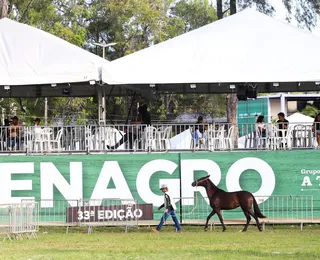 Fundador da Fenagro destaca importância do Grupo A TARDE: "Alegria"