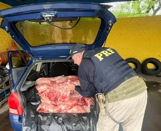 Motorista é preso com 300 kg de carne de capivara dentro de carro