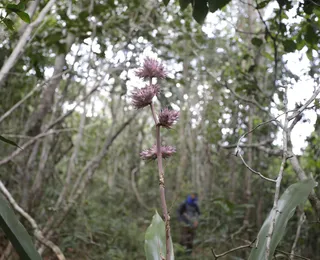 Jovens se reúnem em defesa das reservas da biosfera