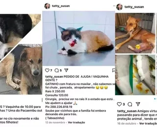 Mulher é presa por armar resgates de animais e pedir Pix nas redes