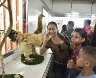 Museu de Anatomia chega na Fenagro com curiosidades do mundo animal