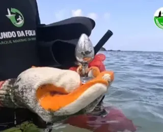 Mutirão da limpeza encontra brinquedo erótico no Porto da Barra; veja