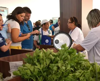 Nordeste abrigou 15,6% dos pequenos negócios abertos no Brasil