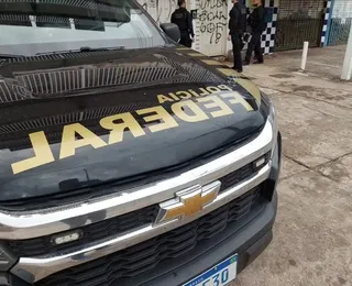Polícia encontra mais de 8 toneladas de maconha escondidas em matagal