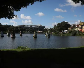 Parque Botânico do Dique protege árvores