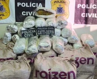 Polícia Civil apreende maconha avaliada em R$ 2 milhões na Bahia