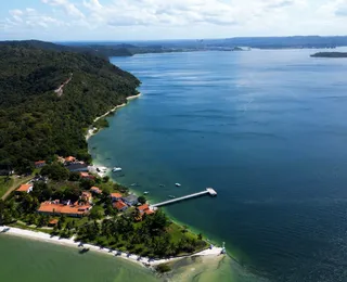 Projeto ambiental vai restaurar manguezais no Recôncavo Baiano