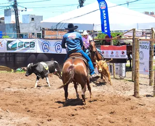 Ranch Sorting: nova competição empolga público na Fenagro