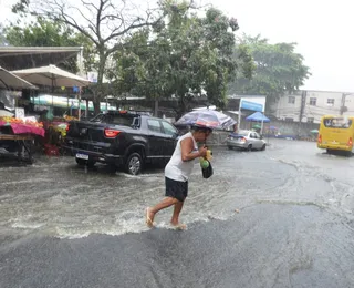 Codesal registra mais de 15 ocorrências após chuvas em Salvador