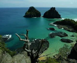 Turista morre após mergulhar a 62m de profundidade em Noronha