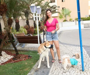 Cresce a presença de pets em apartamentos alugados - Imagem