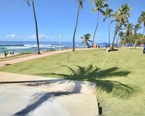 Adolescente desaparece após mergulho na praia de Stella Maris - Imagem