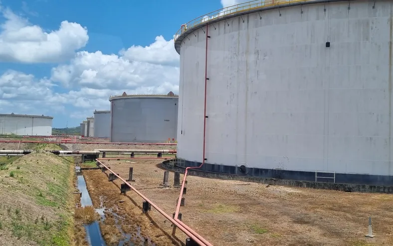 Acelen aposta na produção de biocombustível à base de macaúba na Bahia - Imagem