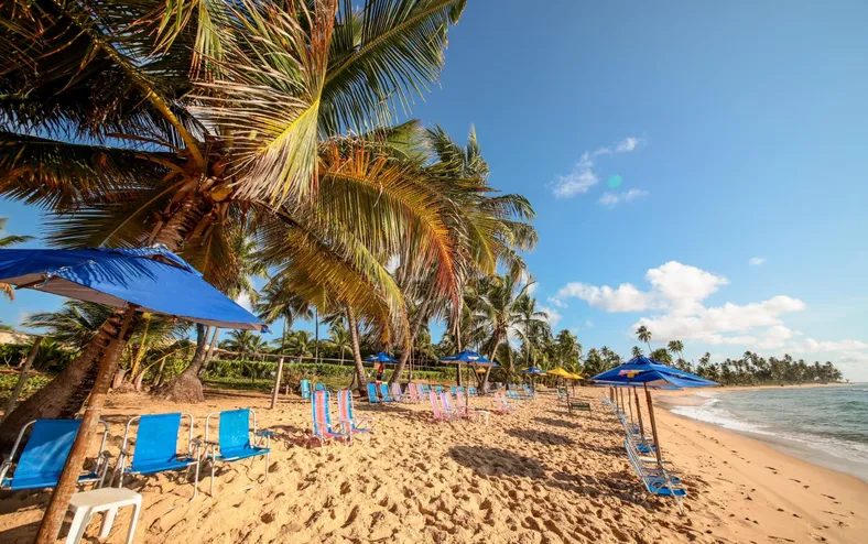 Festival de cultura e gastronomia chega a Praia do Forte em dezembro - Imagem