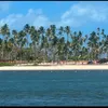 Conheça a história Praia dos Carneiros, uma das mais bonitas do Brasil - Imagem
