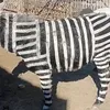 Zoológico da China pinta burro com listras para imitar zebra - Imagem