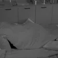 Aline e Diogo esquentam edredom no BBB 25; veja resumo da madrugada imagem