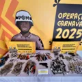 Arma falsa, cachimbo de crack e mais itens são apreendidos no Carnaval imagem