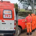 Ataque de abelhas em cemitério interrompe enterro no interior Bahia imagem