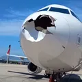 Avião da Latam colide com pássaro e CEO faz desabafo: "mais uma colisão" imagem