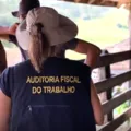 Bahia é terceiro estado que mais resgatou vítimas de escravidão moderna imagem