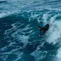 Baiano, Uri Valadão é campeão do Mundial de Bodyboarding imagem