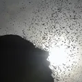 Calor recorde de 2024 atingiu 3,3 bilhões de pessoas no mundo imagem