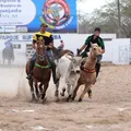 Campeonato Baiano de Vaquejada dará mais de R$ 2 milhões em prêmios imagem