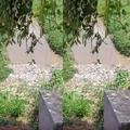 Catador de recicláveis desaparece em córrego de Salvador imagem
