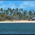 Conheça a história Praia dos Carneiros, uma das mais bonitas do Brasil imagem