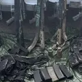 Conheça o “Bonde do Rei Leão”: grupo do TCP escondia arsenal em parede falsa imagem