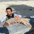 Coral invasor: espécie ameaça corais na Baía de Todos-os-Santos imagem