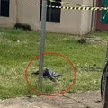 Corpo de bebê é encontrado dentro de saco de lixo em frente a UPA imagem