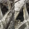 Corpo encontrado carbonizado em veículo é  de filho de empresário imagem