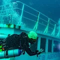 Da necessidade à curiosidade: o Juracy vira vedete no fundo do mar imagem