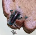 Dona de casa acha bala de fuzil dentro de pão de forma imagem