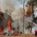 Governo federal declara emergência por risco de incêndios imagem
