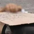 Homem é encontrado morto ao lado de cartaz: “Roubei moto” imagem
