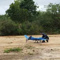 IA e tecnologia de ponta ajudam a proteger florestas no Sul da Bahia imagem