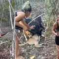 Ibama identifica e multa envolvidos em morte de onça-parda no Piauí imagem